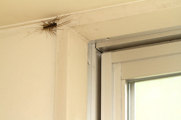 南但馬自然学校 自然のページ