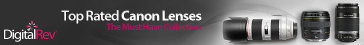 The Must Have Collection for Canon Top Lenses