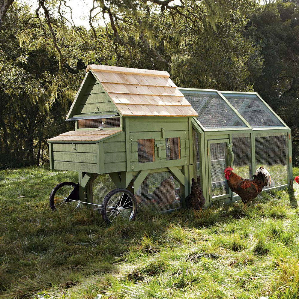 Alexandria Chicken Coop and Run - The Green Head