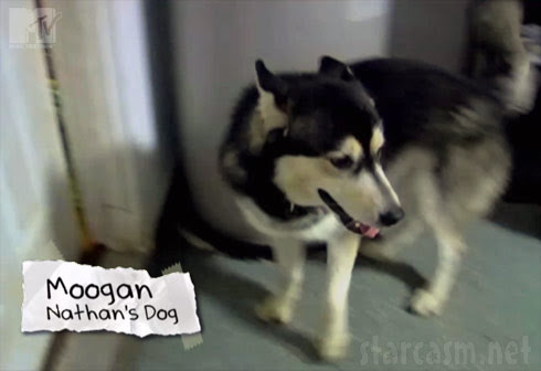 Jenelle Evans dog Moogan the Husky