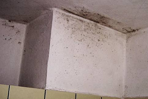 Schimmel badezimmer wand
