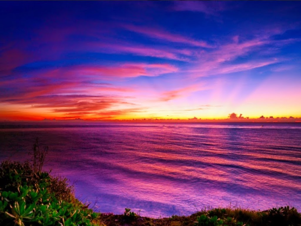 Lima Foto Mangrove Keren Untuk Wallpaper Laptop Anda