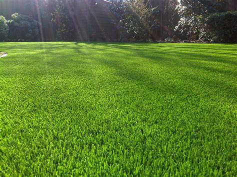 artificial lawns synthetic grass gardens