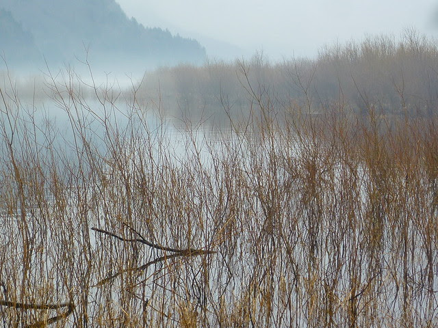 columbia river