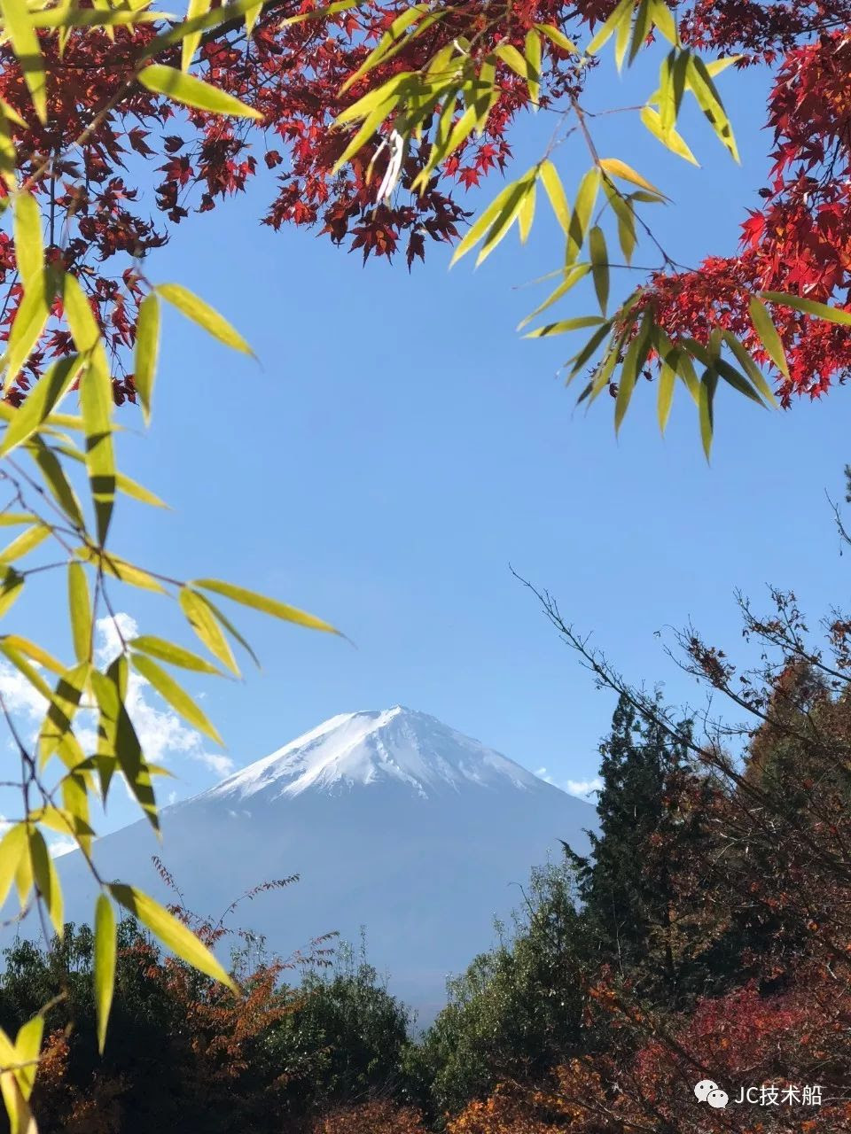 你们要的富士山五湖攻略来了 红叶季 河口湖