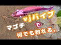 √無料でダウンロード！ ��ゴチ バイブレーション 357788-マゴチ バイブレーショ���ルアー