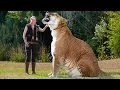 Weird Animal Hybrids