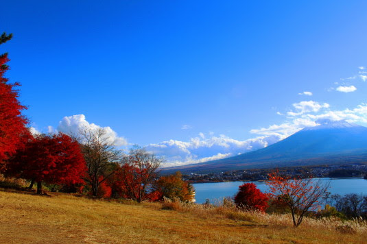 紅葉２０１３ 穴場 河口湖大石公園近くのキャンプ場と富士山 山梨のなう 山梨情報ブログ