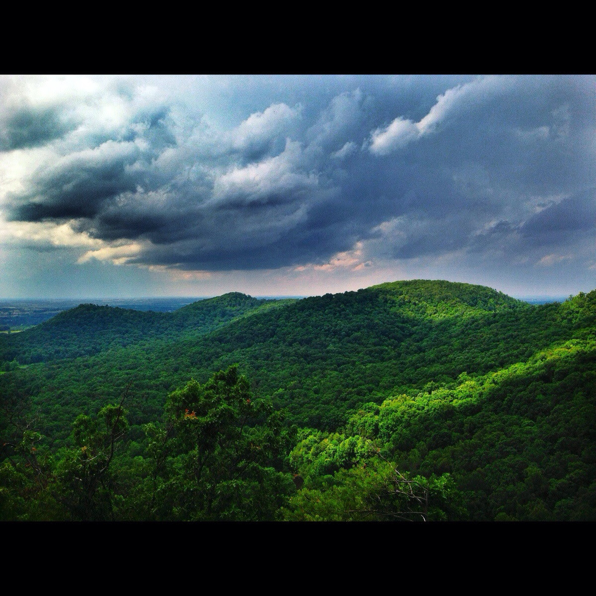 Scenaries