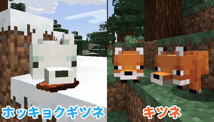 マイクラ キツネのスポーン地域と手懐け 繁殖方法 かわいいキツネのふるまいって マイクラモール
