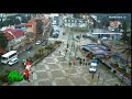 Алушта Елка