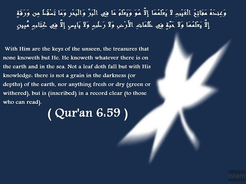 wallpaper quran. Qur#39;an Wallpaper -Allah Knows