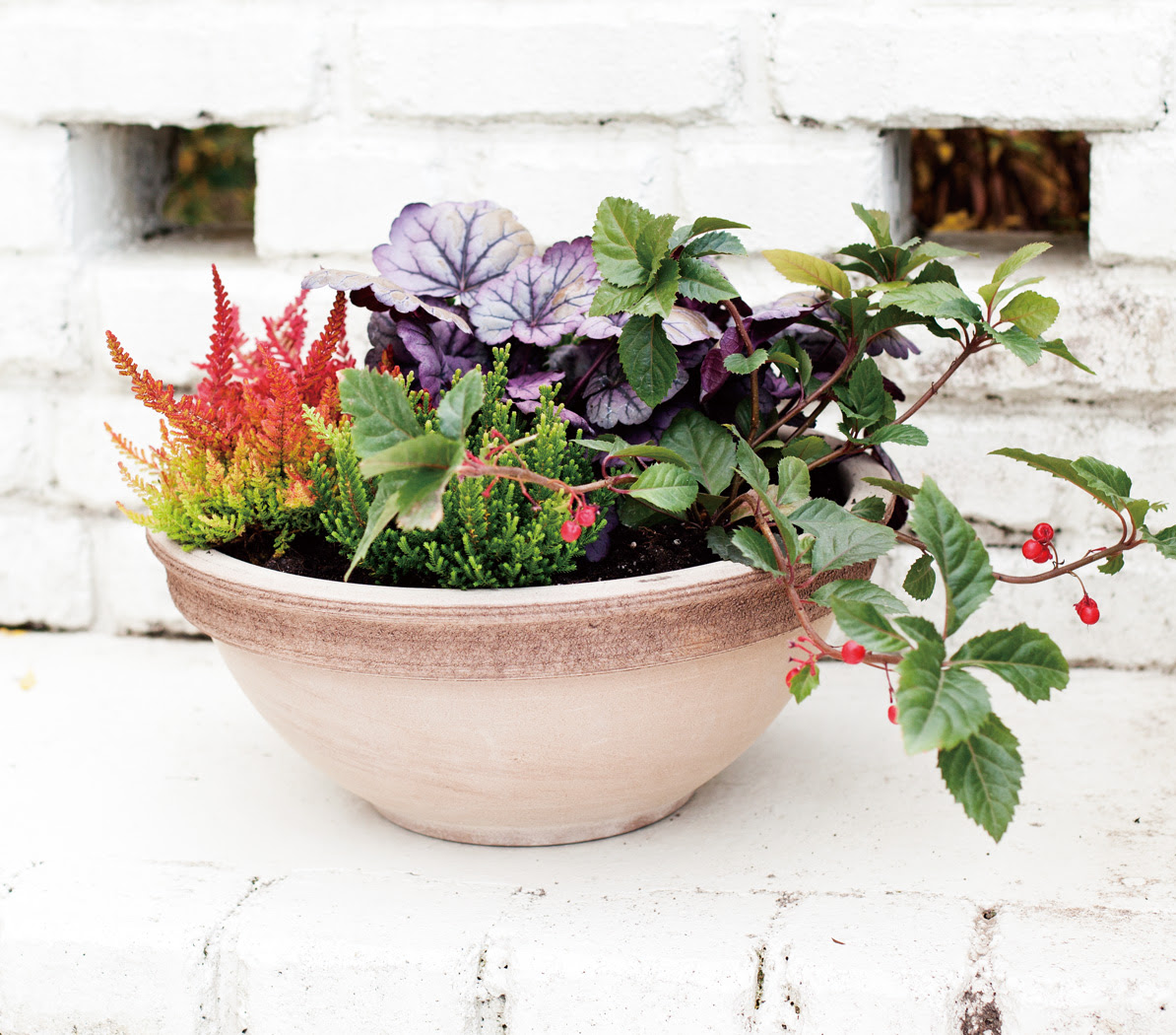 寄せ植えをおしゃれに演出する植木鉢 寄せ植えの手順や一部の植物が枯れる理由と対処法なども 植木鉢ナビ