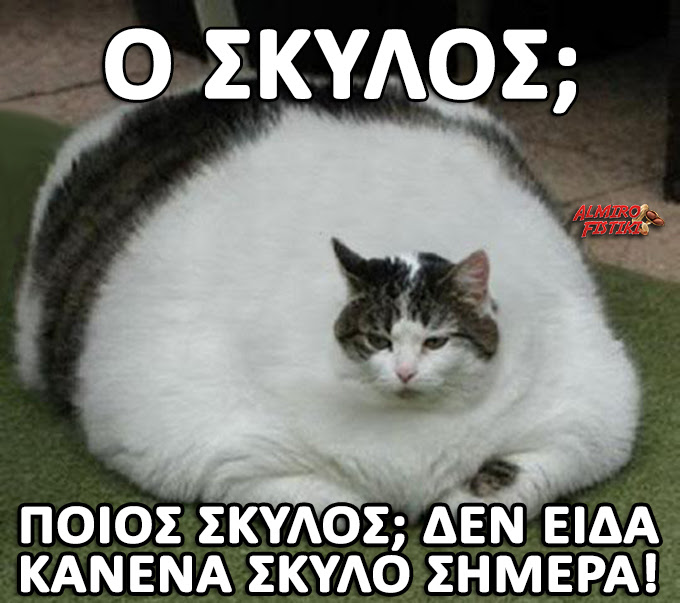 20170306_AlmiroFistiki_have.you.seen.the.dog.jpg