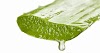 Side Effects of Aloe Vera (Tamil)