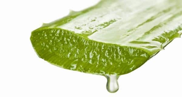 Side Effects of Aloe Vera (Tamil)