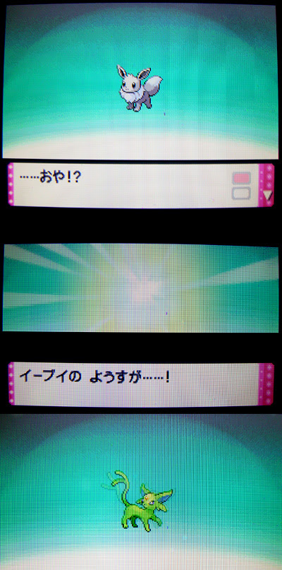 色違いイーブイ育成中 有栖のポケモン日記