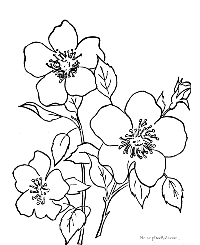 free april coloring sheets printable download free clip art