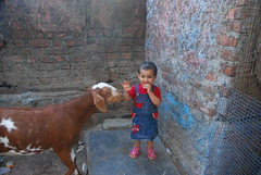 Come On Marziya Dont Be Greedy Says Jimba by firoze shakir photographerno1
