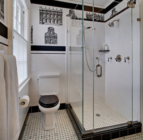 black toilet seats for dementia care