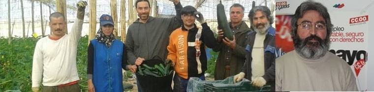 El Sindicato de Obreros del Campo puso a un pescador de CCOO al frente de la finca agrícola ocupada de Simón Sabio