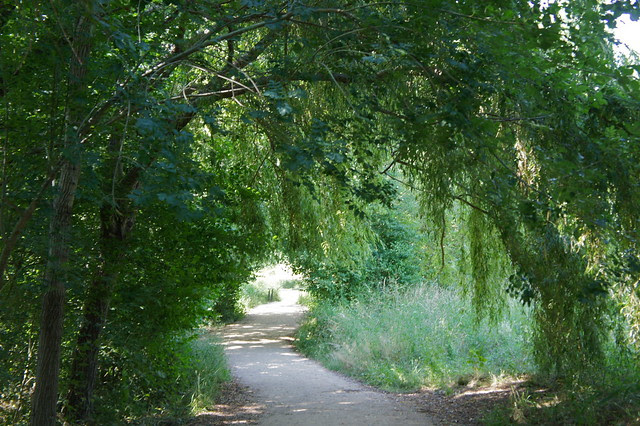 DSC09386