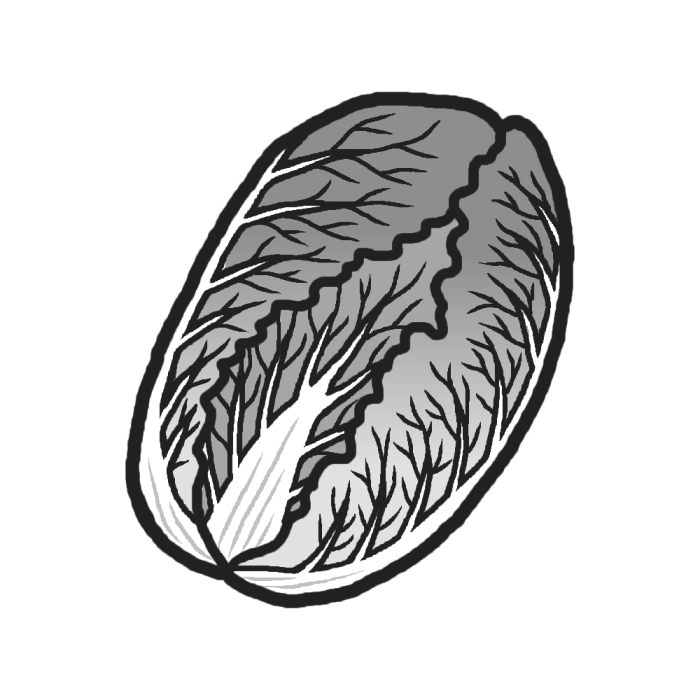 白菜 モノクロ 野菜 食べ物 無料イラスト素材