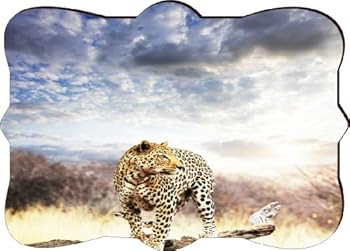 Leopard Fridge Magnet