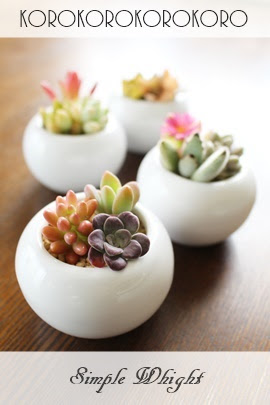 多肉植物のプチギフト通販 多肉のミニプレゼント販売 多肉植物のおくりもの販売 サンキューギフト通販 プチギフト通販 多肉寄せ植え通販 多肉 種類 新築祝い 開店祝い 入学祝 転勤祝い 敬老祝い 開業祝 プチギフト サンキューギフト 母の日贈り物 多肉おくりもの 父の日