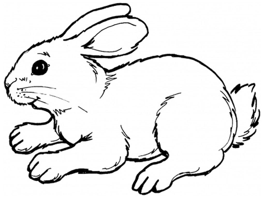 free printable rabbit coloring pages for kids, printable coloring