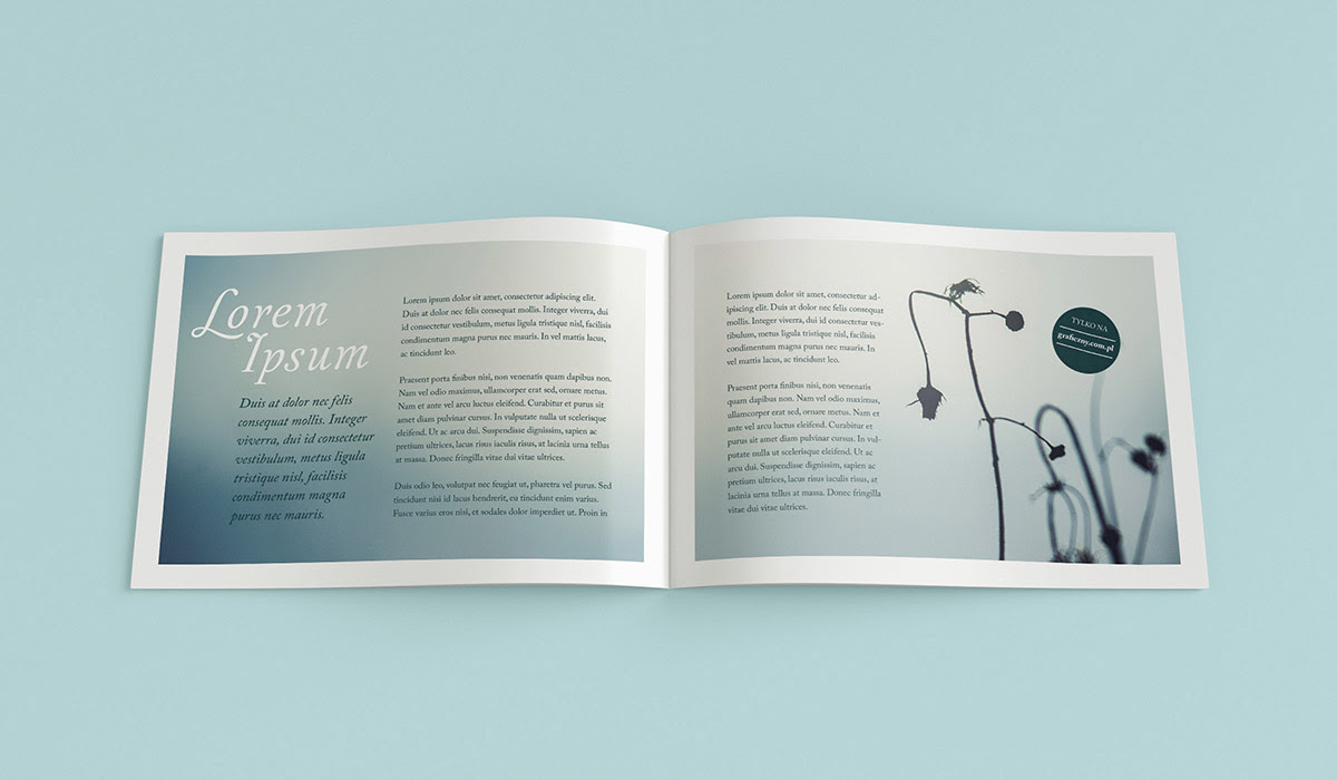 Download Mockup / Broszura A5 poziomo / A5 horizontal brochure ...