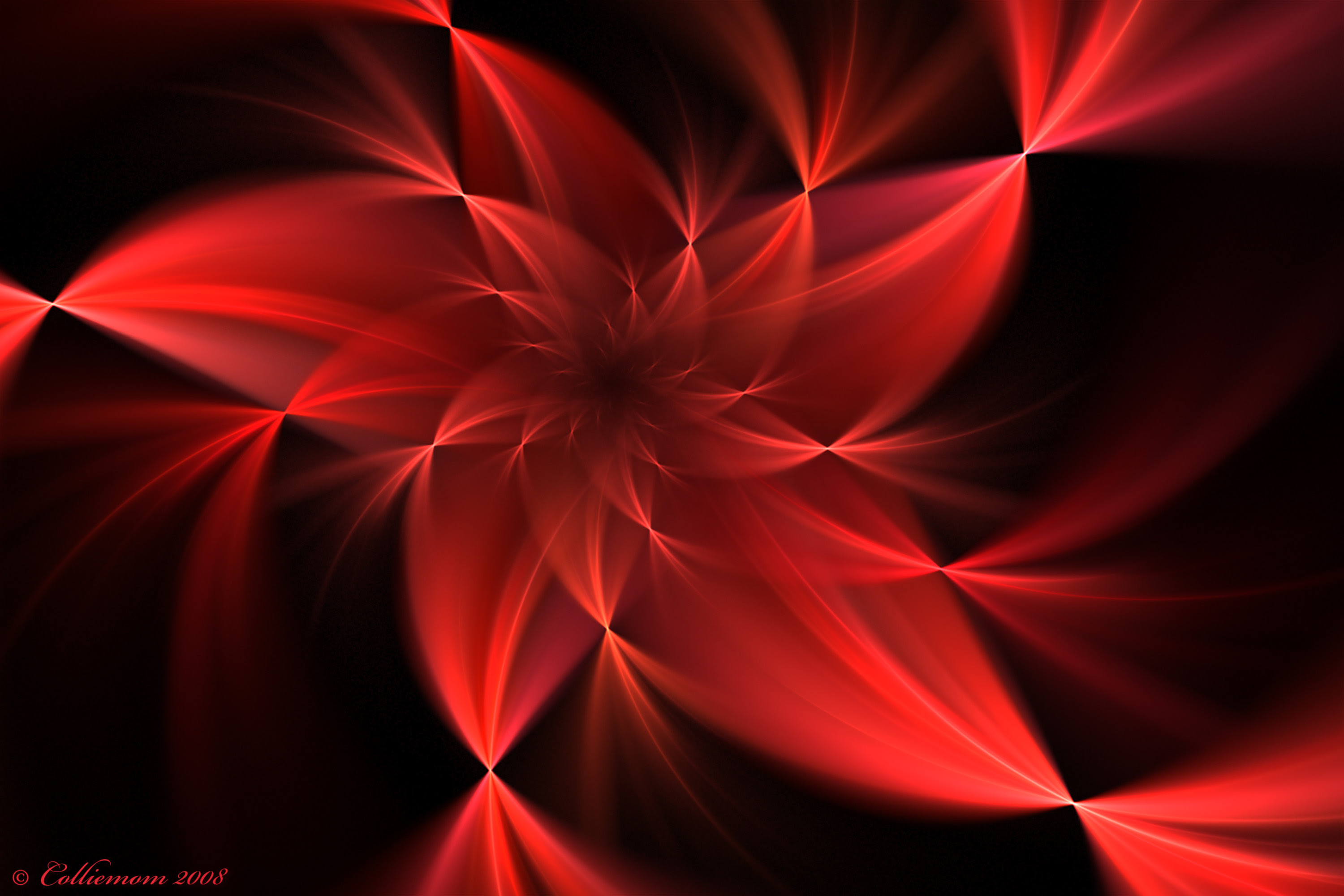 Red Flowers Wallpapers Red Backgrounds