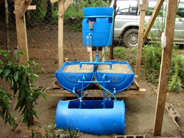 Aquaponics in a Barrel