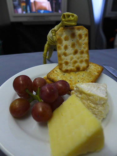 156/365: Tiny Godzilla and Chese by doglington