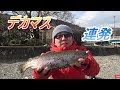 70以上 マス釣り 仕掛け 186294-マス釣り 仕掛け 結び方