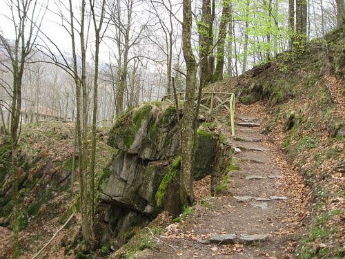 Pasqua 2009