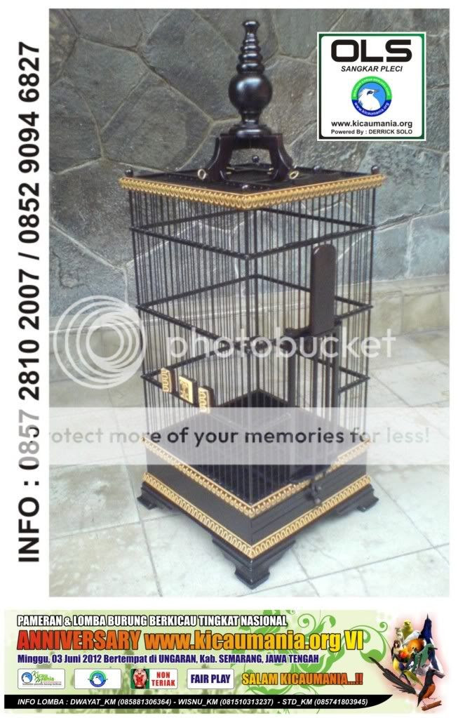 Sangkar Pleci Pictures, Images amp; Photos  Photobucket