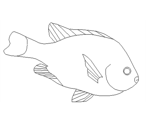 Printable Fish Pattern