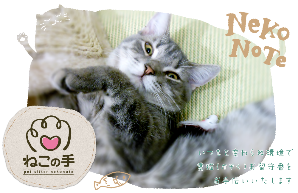 名古屋の猫専門ペットシッター ねこの手