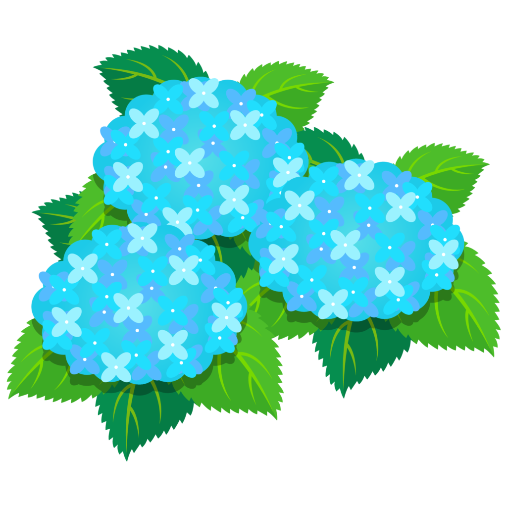 商用フリー 無料イラスト あじさいの花 紫陽花 水色 Ajisai06 商用ok フリー素材集 ナイスなイラスト