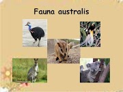 23+ Gambar Flora Dan Fauna Tipe Australis, Yang Istimewa!