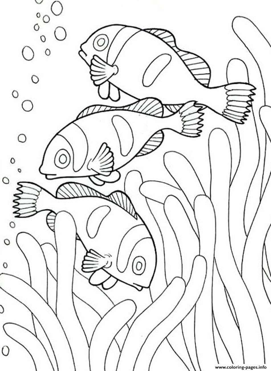 Sea Creature Drawing at GetDrawings | Free download