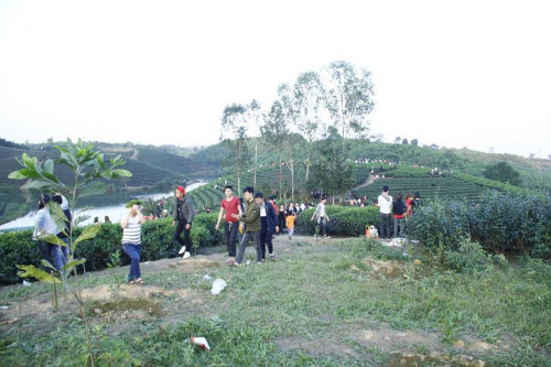 Hình ảnh đáng buồn của du khách ở Đảo chè đầu xuân - 3