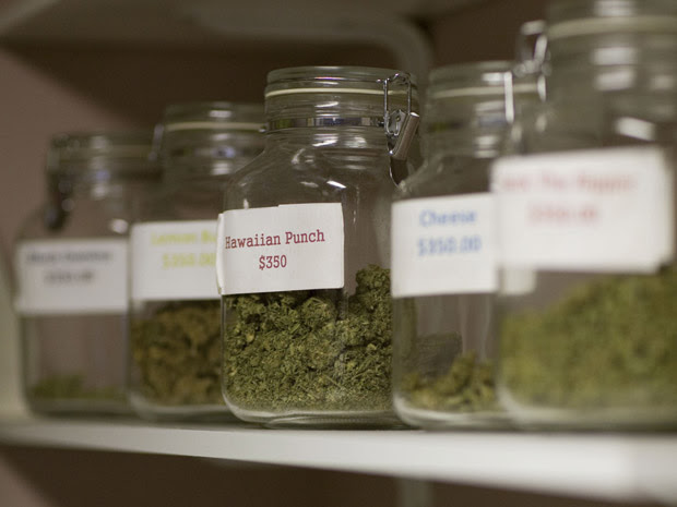 Algumas das variedades de maconha disponíveis na Grateful Meds.