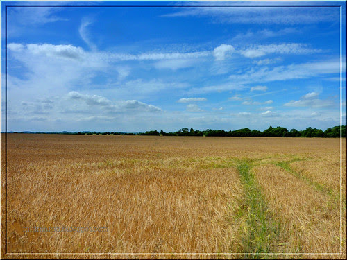 P1010178_6_7_fused