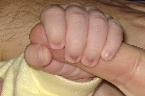Week Four