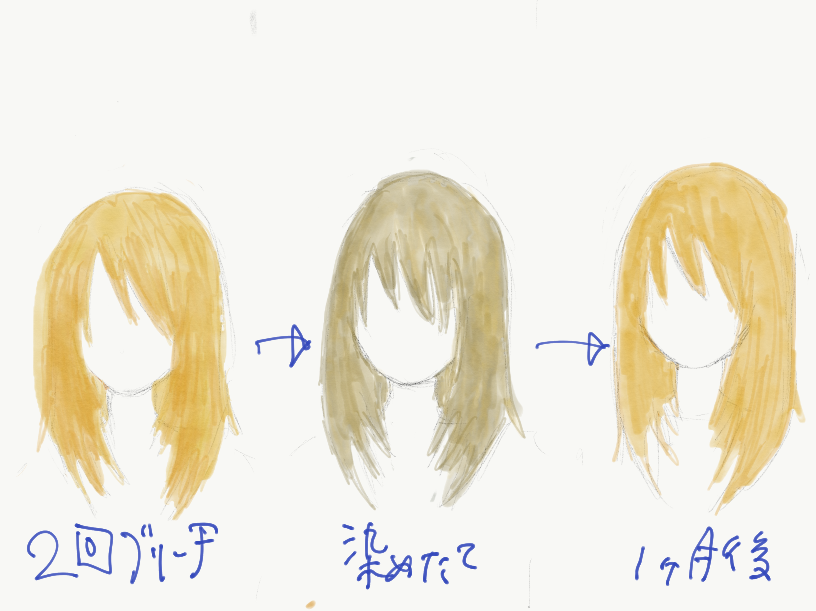 初めてのブリーチは2回以上ブリーチで色を抜くことが必須な理由 亀有の外国人風ヘアカラーが得意な美容院 La Chouchou ラ シュシュ