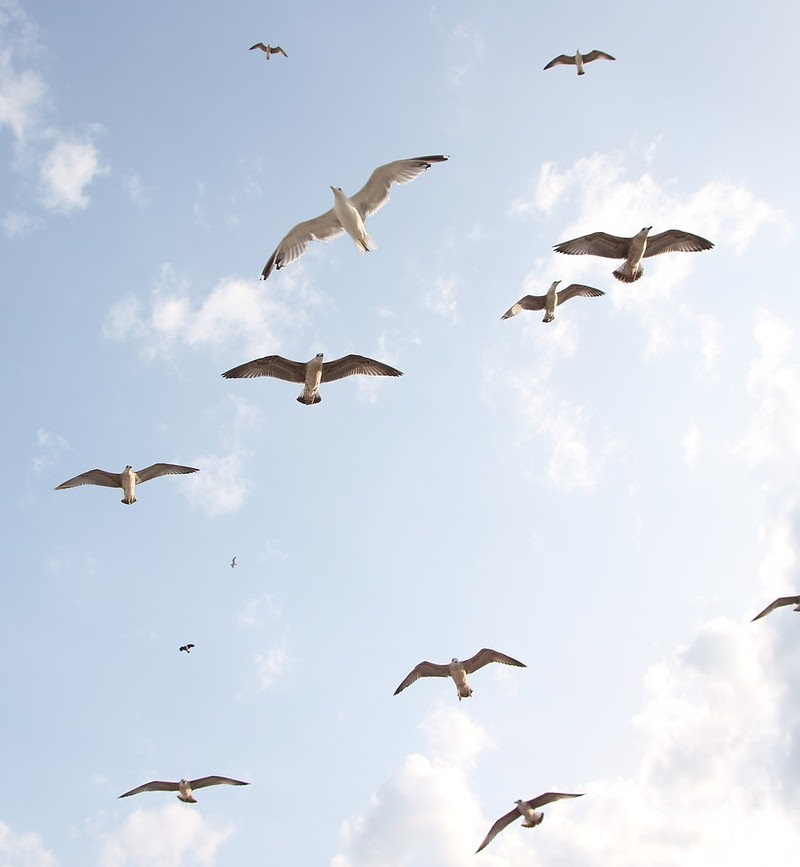 自由 についての名言 1 15 英語名言ドットコム