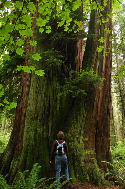 Stanley Park, 17 Jul 2011
