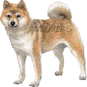 柴犬 豆柴 しばいぬ まめしば のイラスト 条件付フリー素材集